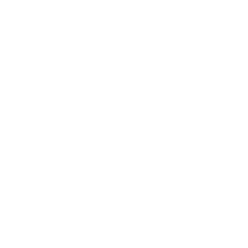 Z Grills